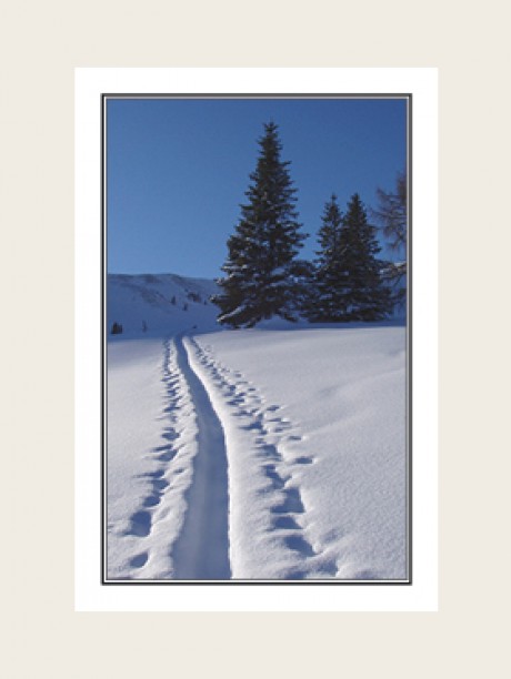 Andenkenbild Spuren im Schnee, Bestattung Sterzl