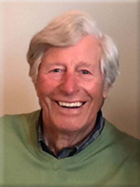Helmut Plieseis