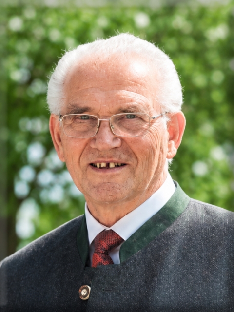 Johann Schober