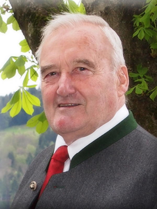 Johann Wölfler